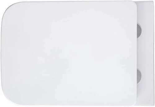 Унитаз подвесной Aquanet Elegant Rimless Elegant W LX-1163 Soft Close с крышкой микролифт Унитаз подвесной Aquanet Elegant Rimless Elegant W LX-1163 Soft Close с крышкой микролифт