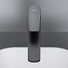 Смеситель для раковины AM.PM Gem F90A92022 высокий, черный Смеситель для раковины AM.PM Gem F90A92022 высокий, черный