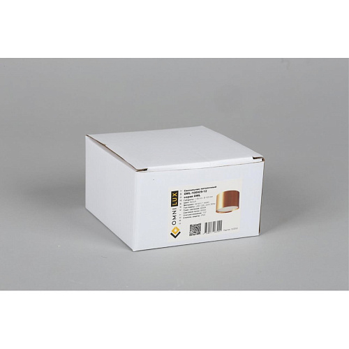 Светильник встраиваемый-накладной Omnilux Salentino OML-100929-12 Светильник встраиваемый-накладной Omnilux Salentino OML-100929-12