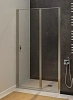 Душевая дверь Allen Brau Priority 100 серебро браш 3.31005.BA