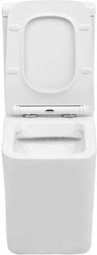 Чаша напольного унитаза Aquanet Rimless Tavr-C1 BL-103N-TPT TAVR-C1 с сиденьем Чаша напольного унитаза Aquanet Rimless Tavr-C1 BL-103N-TPT TAVR-C1 с сиденьем