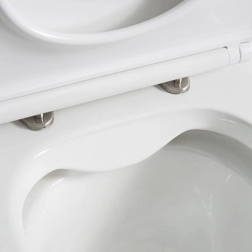 Унитаз напольный BelBagno LOUNGE BB045CPR/SC/BB045/051T безободковый с сиденьем Унитаз напольный BelBagno LOUNGE BB045CPR/SC/BB045/051T безободковый с сиденьем