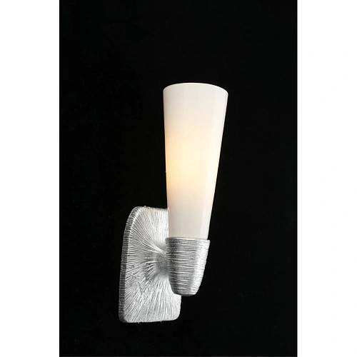 Светильник настенный (Бра) Aployt Hloya APL.800.11.01 Светильник настенный (Бра) Aployt Hloya APL.800.11.01