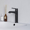 Картинка анонса товара «смеситель для раковины rgw shower panels sp-301b черный»