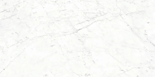 Керамогранит Neodom Sale Carrara Bianco Polished 60x120 CV20187 Керамогранит Neodom Sale Carrara Bianco Polished 60x120 CV20187