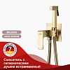 Гигиенический душ Raglo R01.52.03 встраиваемый, золотой сатин Гигиенический душ Raglo R01.52.03 встраиваемый, золотой сатин