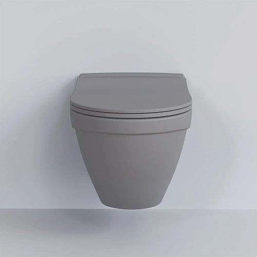 Крышка-сиденье Ambassador Nord 132T20301S (тонкое) серое матовое Крышка-сиденье Ambassador Nord 132T20301S (тонкое) серое матовое