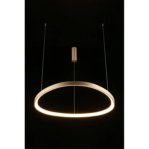 Люстра подвесная Aployt Zula APL.022.03.60 Люстра подвесная Aployt Zula APL.022.03.60