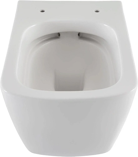 Комплект унитаза Allen Brau Liberty 4.33004.20/8.9466.0.000.000.1 (00316507) с инсталляцией, белый глянец Комплект унитаза Allen Brau Liberty 4.33004.20/8.9466.0.000.000.1 (00316507) с инсталляцией, белый глянец