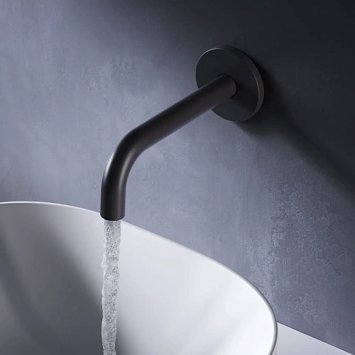 Излив AM.PM X-Joy F85B70022 черный Излив AM.PM X-Joy F85B70022 черный