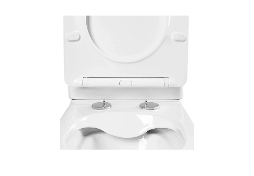 Унитаз приставной Aquatek ЕВРОПA Q1902-00 560x360x410 безободковый тонкое сиденье AQ1902-00 Унитаз приставной Aquatek ЕВРОПA Q1902-00 560x360x410 безободковый тонкое сиденье AQ1902-00