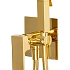 Гигиенический душ Remer Absolute AU65DO, золото глянцевое Гигиенический душ Remer Absolute AU65DO, золото глянцевое