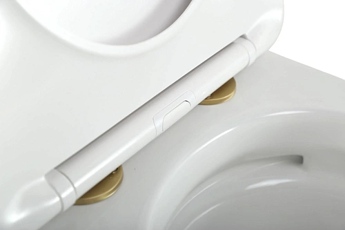 Унитаз подвесной CEZARES STYLUS-TOR CZR-6601-TH-TOR/SC безободковый с сиденьем и смывом TORNADO Унитаз подвесной CEZARES STYLUS-TOR CZR-6601-TH-TOR/SC безободковый с сиденьем и смывом TORNADO