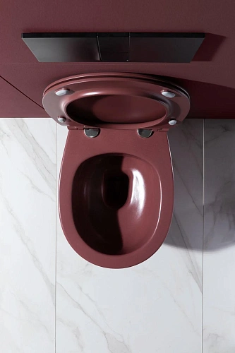 Унитаз подвесной Allen Brau Fantasy 4.11004.BD с крышкой, бордо Унитаз подвесной Allen Brau Fantasy 4.11004.BD с крышкой, бордо