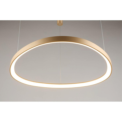 Люстра подвесная Aployt Zula APL.022.03.60 Люстра подвесная Aployt Zula APL.022.03.60