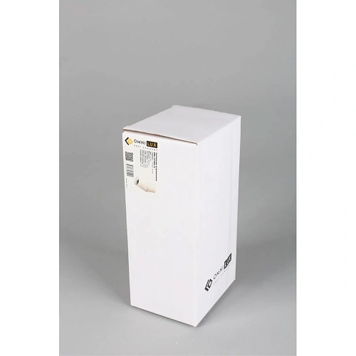 Светильник встраиваемый-накладной Omnilux Arlate OML-101809-12 Светильник встраиваемый-накладной Omnilux Arlate OML-101809-12