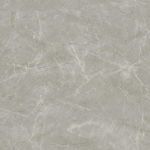 Керамогранит Laparet Wolf Grey 80x80 х9999289550 Керамогранит Laparet Wolf Grey 80x80 х9999289550