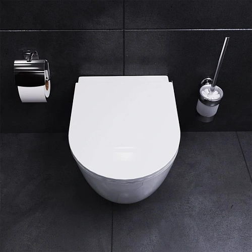 Унитаз подвесной Damixa Sirius DX86C1700SC безободковый с сиденьем микролифт Унитаз подвесной Damixa Sirius DX86C1700SC безободковый с сиденьем микролифт