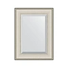 Зеркало в багетной раме Evoform Exclusive BY 1226 58 x 78 см, травленое серебро