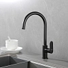 Смеситель для кухни Aquatek АЛЬФА AQ1982MB матовый черный Смеситель для кухни Aquatek АЛЬФА AQ1982MB матовый черный