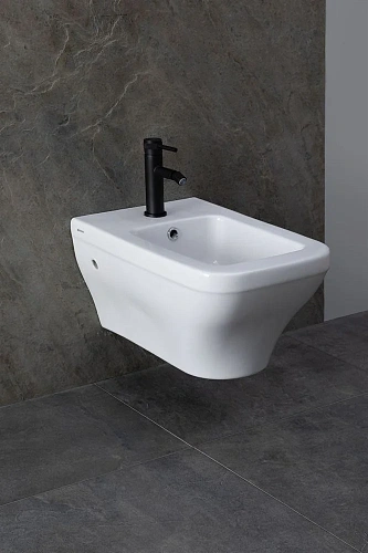 Биде подвесное Allen Brau Infinity 4.21014.20 белый глянец Биде подвесное Allen Brau Infinity 4.21014.20 белый глянец