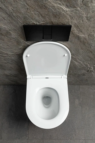 Унитаз подвесной Allen Brau Priority Tornado 4.31008.20 с крышкой, белый глянец Унитаз подвесной Allen Brau Priority Tornado 4.31008.20 с крышкой, белый глянец