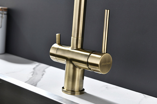 Смеситель для кухни Paulmark SERPENTINE бронза Se213222-BR Смеситель для кухни Paulmark SERPENTINE бронза Se213222-BR