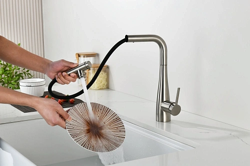 Смеситель для кухни AQUAme Cucina AQM9902BN с выдвижным изливом, никель шлифованный Смеситель для кухни AQUAme Cucina AQM9902BN с выдвижным изливом, никель шлифованный