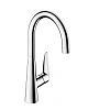 Смеситель для кухни Hansgrohe 260, Eco, 1jet 72816000, хром