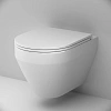 Унитаз подвесной AM.PM Spirit V2.0 C701900SC Aquaspin с сиденьем микролифт Унитаз подвесной AM.PM Spirit V2.0 C701900SC Aquaspin с сиденьем микролифт