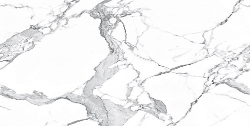 Керамогранит Neodom Matt Statuario Classico Satin 60x120 N20377 Керамогранит Neodom Matt Statuario Classico Satin 60x120 N20377