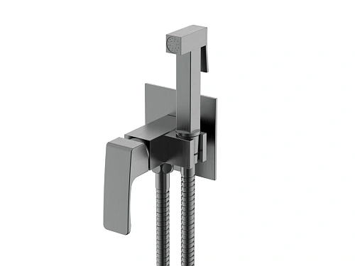 Гигиенический душ Raglo R01.52.09 встраиваемый, графит Гигиенический душ Raglo R01.52.09 встраиваемый, графит