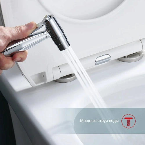 Гигиенический душ Raglo R20.52 встраиваемый, хром Гигиенический душ Raglo R20.52 встраиваемый, хром