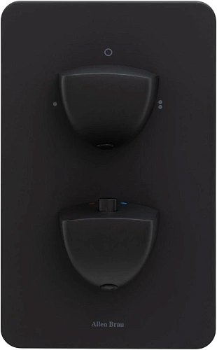 Смеситель для ванны Allen Brau Infinity 5.21216-31 (с внутренней частью, 2 выхода) черный матовый Смеситель для ванны Allen Brau Infinity 5.21216-31 (с внутренней частью, 2 выхода) черный матовый