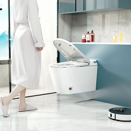 Унитаз SMART ABBER Bequem AC1119S с функией биде белый с крышкой микролифт Унитаз SMART ABBER Bequem AC1119S с функией биде белый с крышкой микролифт