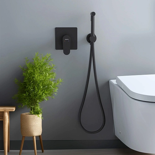 Гигиенический душ Aquatek ОБЕРОН AQ1219MB Черный матовый, встраиваемый Гигиенический душ Aquatek ОБЕРОН AQ1219MB Черный матовый, встраиваемый