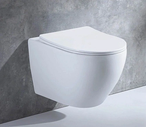 Унитаз подвесной CeramaLux 2196 -1 белый с крышкой микролифт Унитаз подвесной CeramaLux 2196 -1 белый с крышкой микролифт