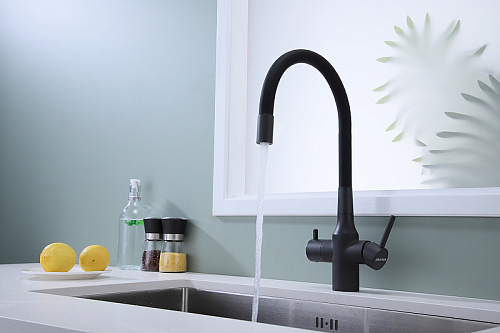 Смеситель для кухни Paulmark SALIX антрацит Sa213419-AN Смеситель для кухни Paulmark SALIX антрацит Sa213419-AN