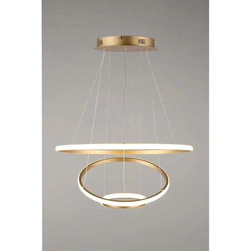 Люстра подвесная Aployt Janina APL.018.13.60 Люстра подвесная Aployt Janina APL.018.13.60