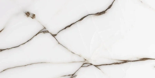 Керамогранит Neodom Onix One Fancy Grey Glossy 60x120 CV20195 Керамогранит Neodom Onix One Fancy Grey Glossy 60x120 CV20195