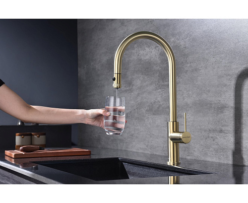 Смеситель для кухни Paulmark GALANT Ga213077-LG светлое золото Смеситель для кухни Paulmark GALANT Ga213077-LG светлое золото