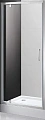 Душевая дверь CEZARES MOLVENO-BA-1-70-C-Cr-IV Душевая дверь CEZARES MOLVENO-BA-1-70-C-Cr-IV