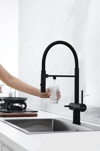 Смеситель для кухни Paulmark Gravity антрацит Gr213888-AN Смеситель для кухни Paulmark Gravity антрацит Gr213888-AN