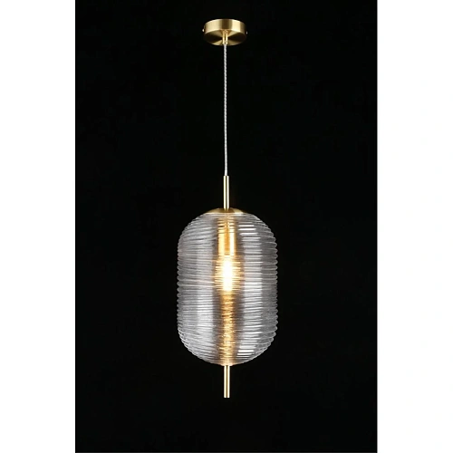 Светильник подвесной Aployt Mattia APL.316.16.01 Светильник подвесной Aployt Mattia APL.316.16.01