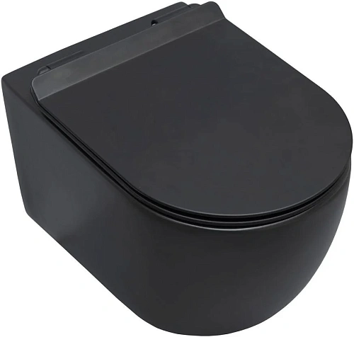 Унитаз подвесной Aquanet Rimless Cetus-BW BL-102N-WHT CETUS-BW с сиденьем Унитаз подвесной Aquanet Rimless Cetus-BW BL-102N-WHT CETUS-BW с сиденьем