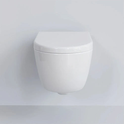 Крышка-сиденье Ambassador Abner 102T20001 (толстое) белое Крышка-сиденье Ambassador Abner 102T20001 (толстое) белое