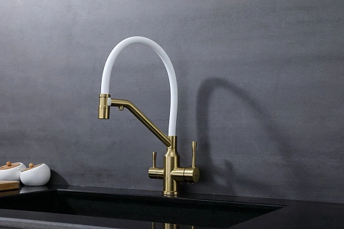 Смеситель для кухни Raglo R81.62.03 с гибким изливом с подключением к фильтру, золотой сатин Смеситель для кухни Raglo R81.62.03 с гибким изливом с подключением к фильтру, золотой сатин