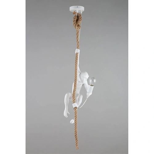 Светильник подвесной Aployt Magali APL.309.06.01 Светильник подвесной Aployt Magali APL.309.06.01