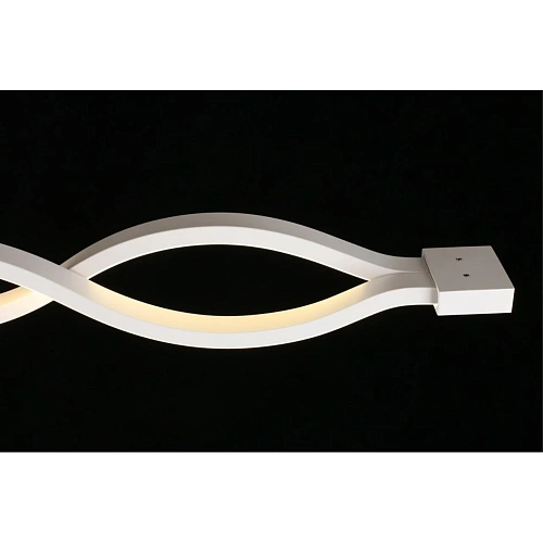 Светильник настенно-потолочный Aployt Nadayn APL.002.02.36 Светильник настенно-потолочный Aployt Nadayn APL.002.02.36