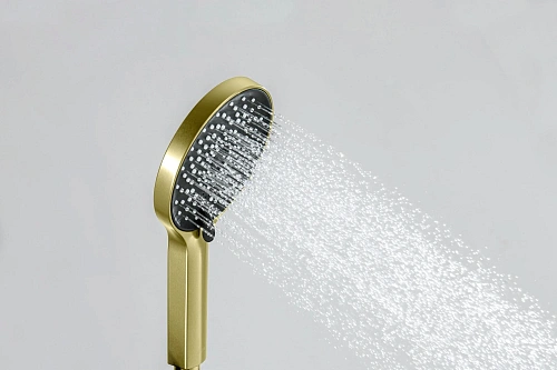 Душевая лейка Aquatek Лугано AQ2201BG золото шлифованное Душевая лейка Aquatek Лугано AQ2201BG золото шлифованное